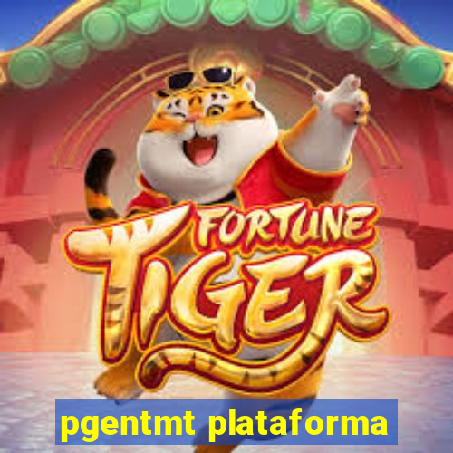 pgentmt plataforma